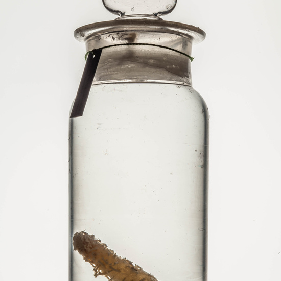 IES_CARDENALCISNEROS_CIENCIASNATURALES_058