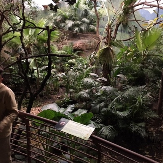 Parque de la Naturaleza. Faunia. 5º Curso. 12