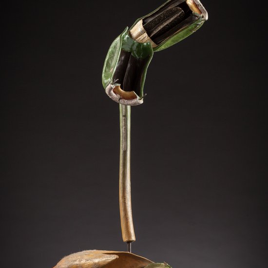 IES_ISABELLACATOLICA_BIOLOGIA_078