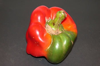 Pimiento