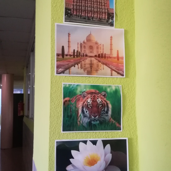 Semana Cultural 2019 26