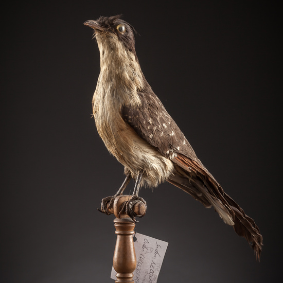 IES_SANISIDRO_BIOLOGIA_122