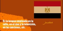 Curso de árabe egipcio