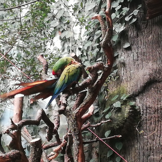 FAUNIA. 5º curso 32