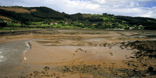 Llanuras fangosas de la ría de Villaviciosa, Principado de Astur