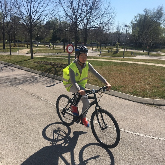 Educación Vial 11/3/2019 20