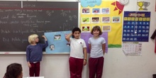 PRIMARIA 4º. VERTEBRATE PROJECTS. NATURAL SCIENCE. ACTIVIDADES