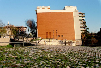 Malas hierbas entre los adoquines del suelo