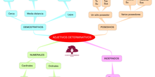 LENGUA_ADJETIVOS DETERMINATIVOS_5_B