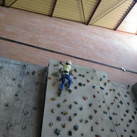 Actividad Multiaventura_4º de Primaria_CEIP Fernando de los Ríos_Las Rozas 22