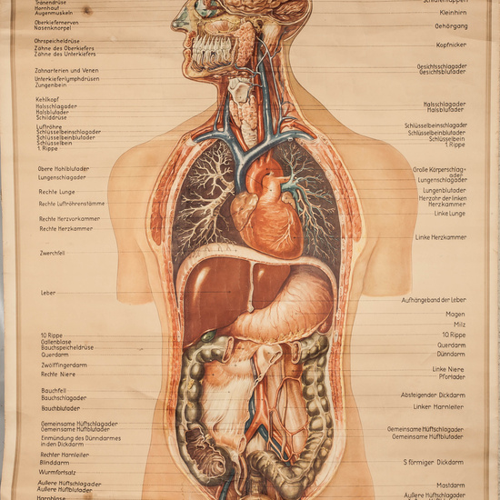 IES_RAMIRODEMAEZTU_BIOLOGIA_027