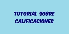 TUTORIAL CALIFICADOR
