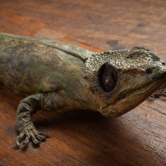 IES_CARDENALCISNEROS_CIENCIASNATURALES_301