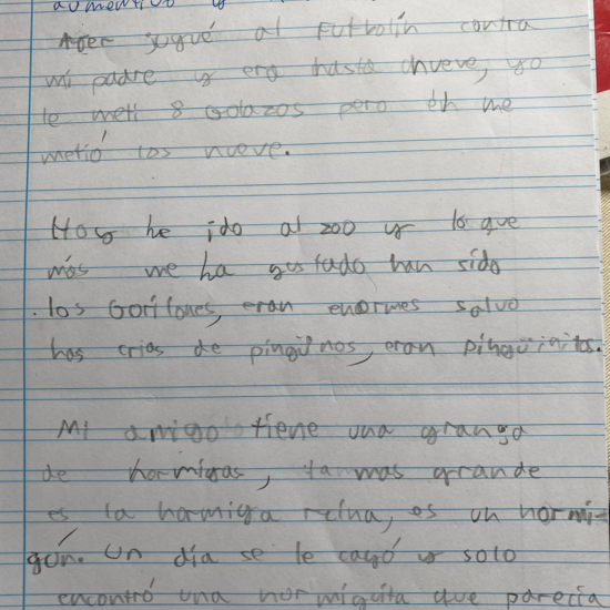 AUMENTATIVOS Y DIMINUTIVOS