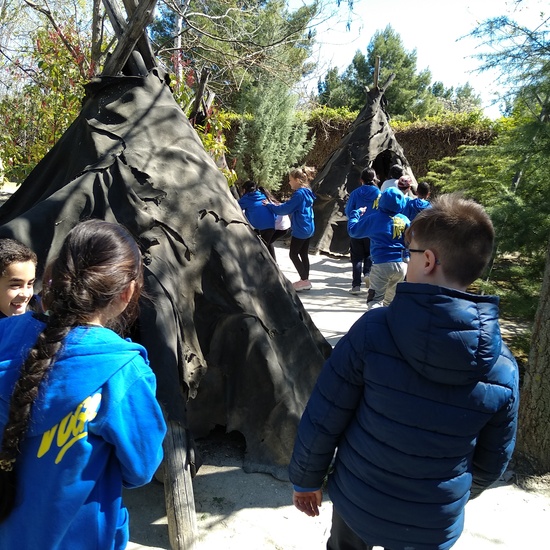 Arqueopinto 4º 19 6