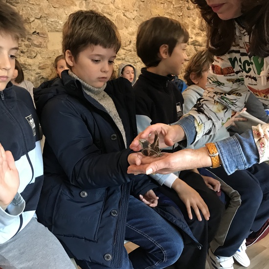 2020_02_27_3º visita Insectpark (4)_CEIP FDLR_Las Rozas 33