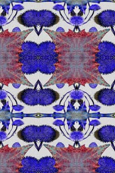 Simetrías del detalle de fantasía