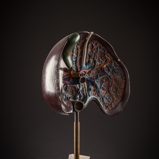 IES_SANISIDRO_BIOLOGIA_281