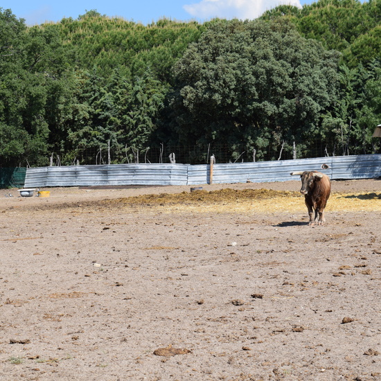 Salida en bici 4º de Primaria 15