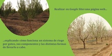 Proyecto agrícola