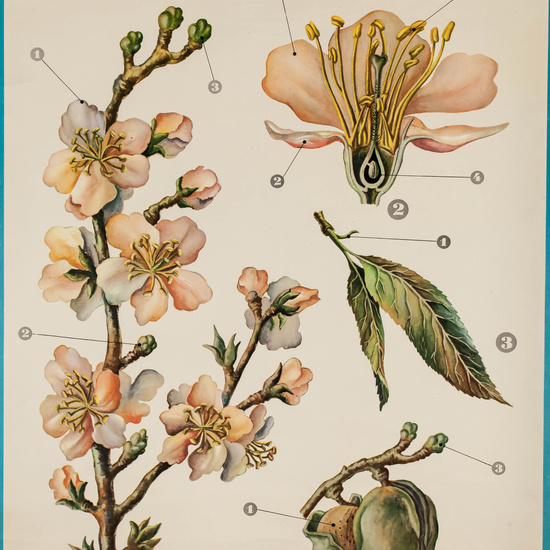 IES_LOPEDEVEGA_CIENCIASNATURALES_064