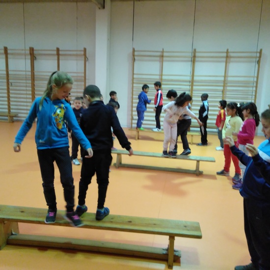 Convivencia en Educación física 2