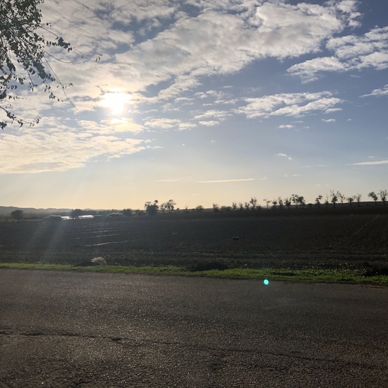 Albergue 6º - 1º día (tarde) 8