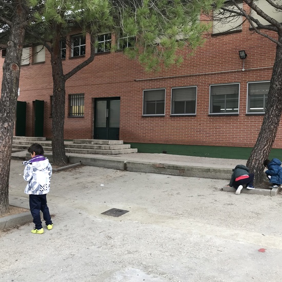 2018_12_05_1º Y 2º TRABAJAN LA BIODIVERSIDAD_PROYECTO THE GREAT PLANT HUNT_CEIP FDLR_Las Rozas 4