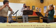Trio Sonata en Si menor H 567 de C.P.E. Bach 1º mov Allegro