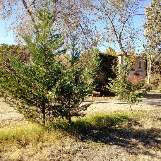 VISITA CARABANCHEL. 6º 14