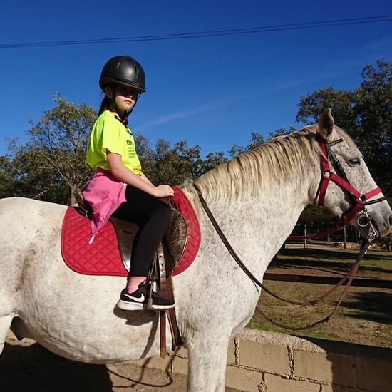 Mohernando 2017_2 14