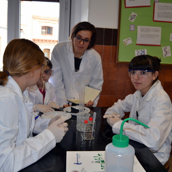 Proyecto de Aprendizaje y Servicio  3