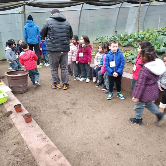 Granja de los Cuentos Infantiles I 13