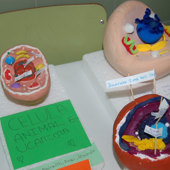 CONCURSO CELULAR 1º ESO 10