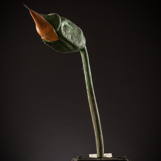 IES_SANISIDRO_BIOLOGIA_193