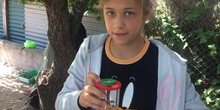 2019_06_11_4º observa insectos en el huerto_1_CEIP FDLR_Las Rozas 9