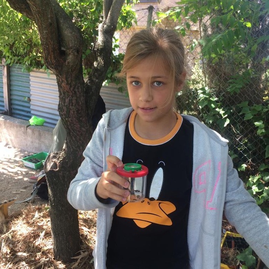 2019_06_11_4º observa insectos en el huerto_1_CEIP FDLR_Las Rozas 9
