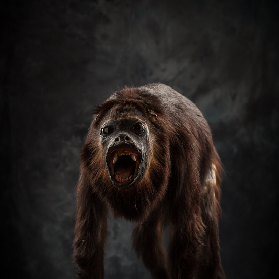 IES_SANISIDRO_BIOLOGIA_307