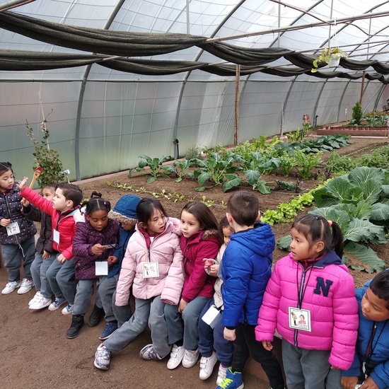 Granja de los Cuentos Infantiles I 17