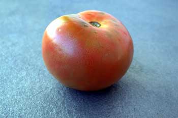 Tomate