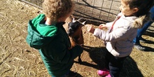 2016_inf 4 años a visita la granja 30