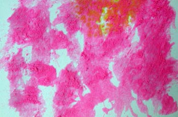 Composición pictórica en rosa