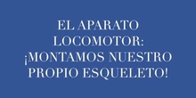 El aparato locomotor 6ºA