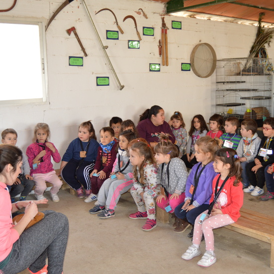 GRANJA ESCUELA ALBITANA 50