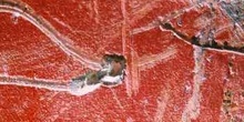 Pared roja con arañazos