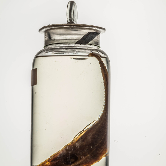 IES_CARDENALCISNEROS_CIENCIASNATURALES_134