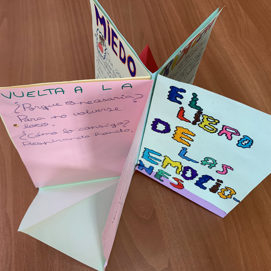 Libro de las Emociones