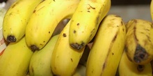 Platanos