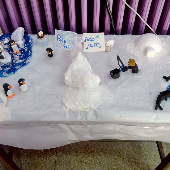 ECOSISTEMAS 5º CURSO 10