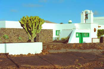 Jardines Fundación César Manrique
